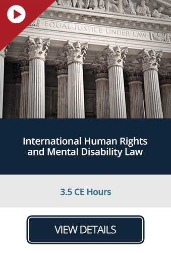 International Human Rights and Mental Disability Law