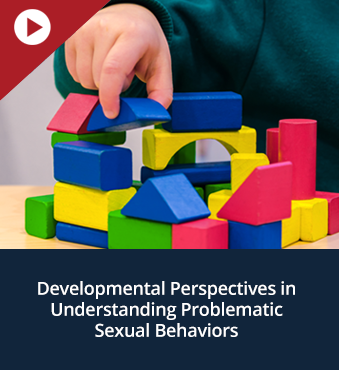 Developmental Perspectives in Understanding Problematic Sexual Behaviors