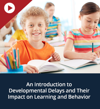 An Introduction to Developmental Delays and Their Impact on Learning and Behavior