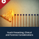 Youth Firesetting: Clinical and Forensic Considerations