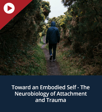 Toward an Embodied Self - The Neurobiology of Attachment and Trauma